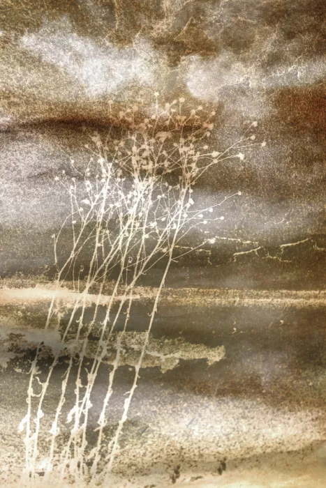 Sillen, Christina: Dried Dreams