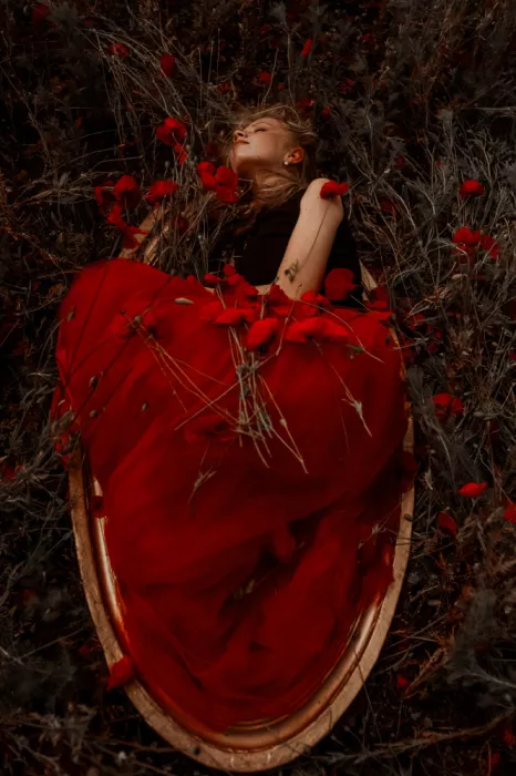 Biňovcová, Barbora: Framed in poppies