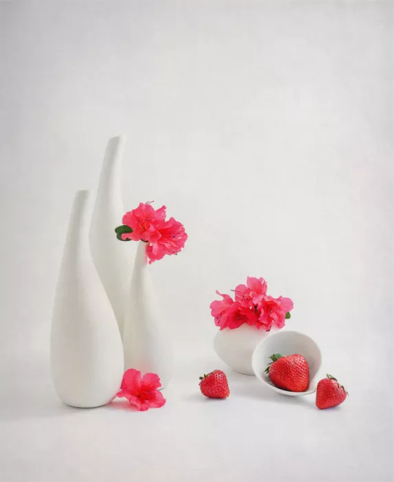 Sheng, Alice: Nature morte 126