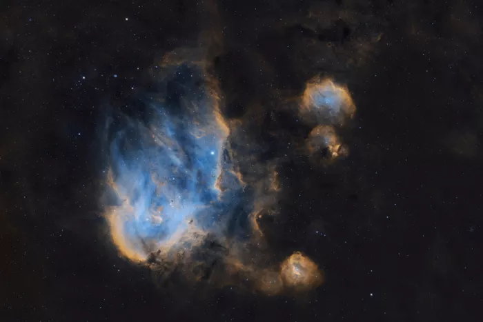Chander, Vikas: La Nebulosa della Gallina Corrente