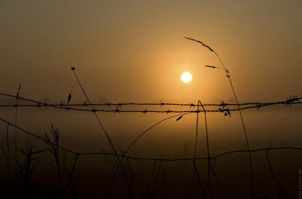Schuurmans,,,, Wim,,,: Morning Glow
