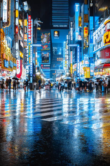 I_ha__to: Shinjuku Hard Rainy