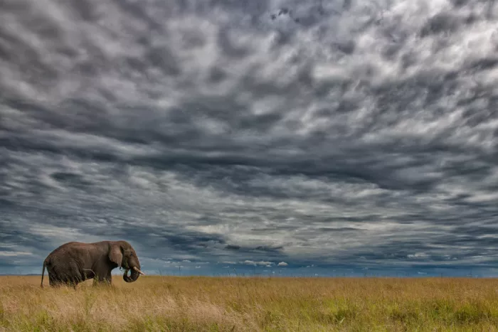 Ruoppolo, Luigi: Under a Kenyan cloudy sky