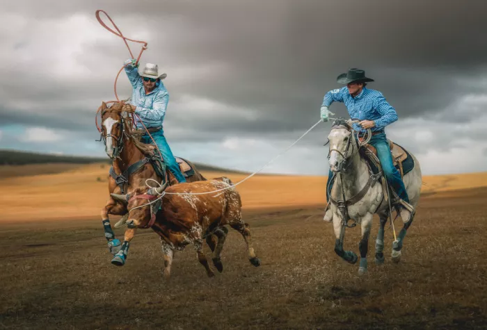 Ma, Frank: Team Roping