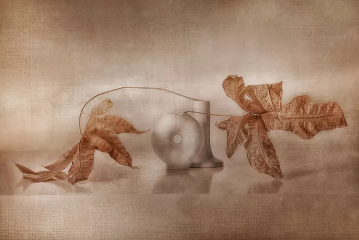 Arjona, Elena: Study in clay IV