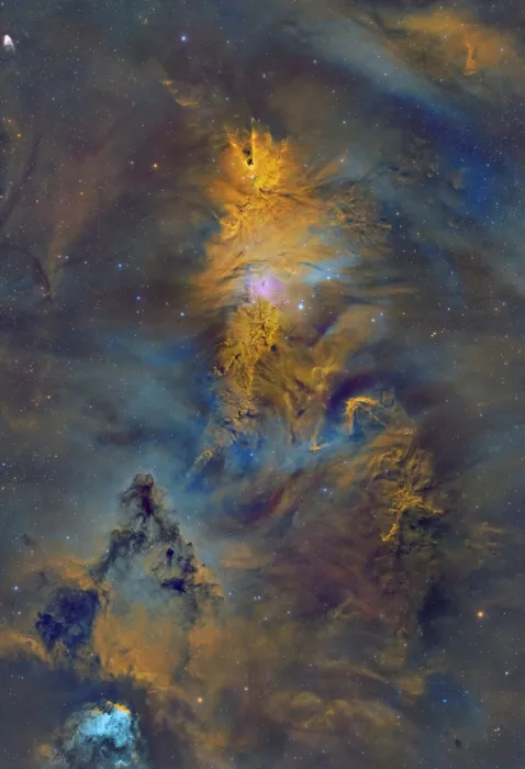 Rodríguez, María Rosa: Cone Nebula
