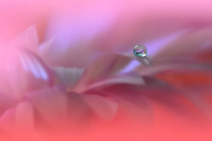Nan, Juliana: Colors of Love..