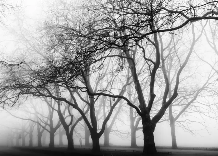 Niemiec, Anna: mysterious road