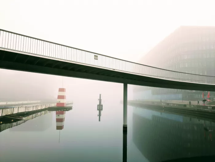 Allen, Elizabeth: Nebel vor dem Frühstück II
