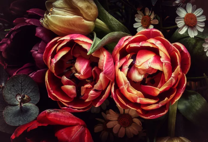 Losada, Secundino: Nostalgic bouquet