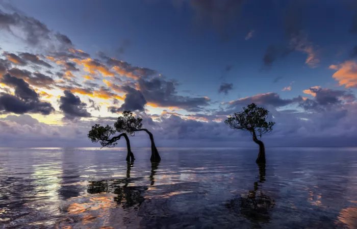 Jin, Jie: Beach sunrise