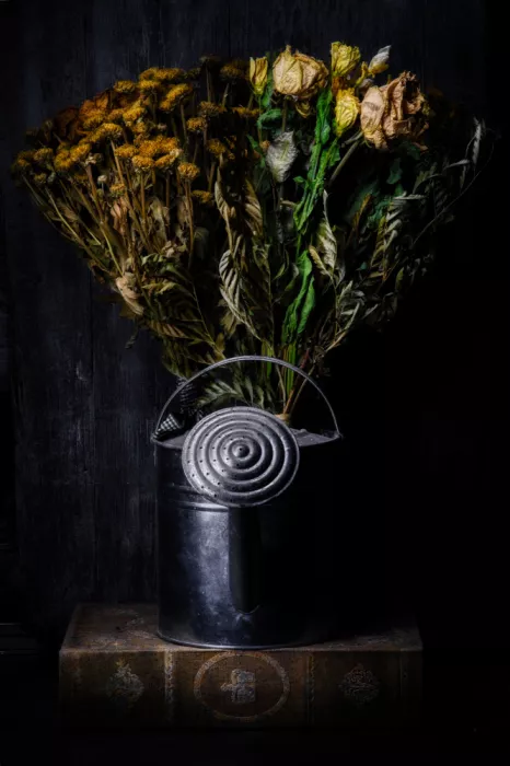 Sottocorna, Enrico: .. Old Flowers ..