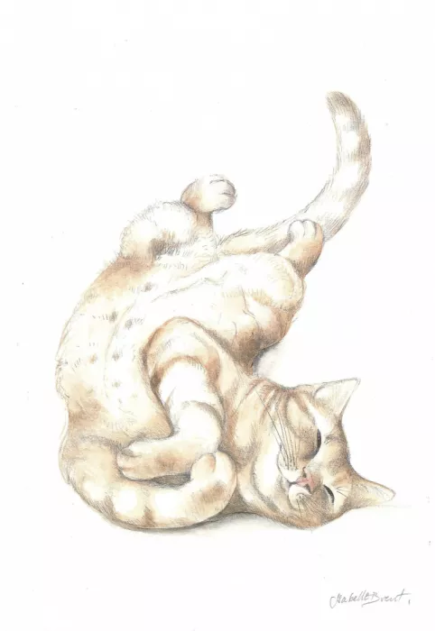 Brent, Isabelle: Chat détendu