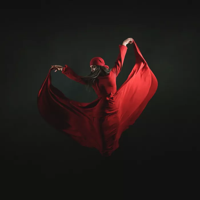 Hasheminasab, Moein: Persian dancer