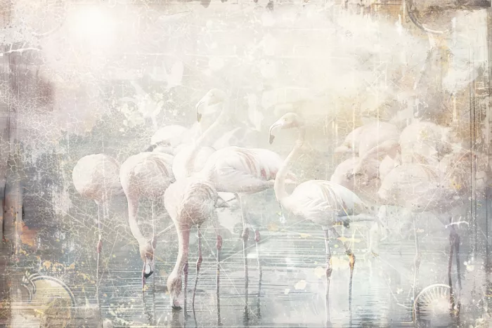 Kulik, Rafal: Flamant Animal Art Vintage Illustration Décoration Murale 12