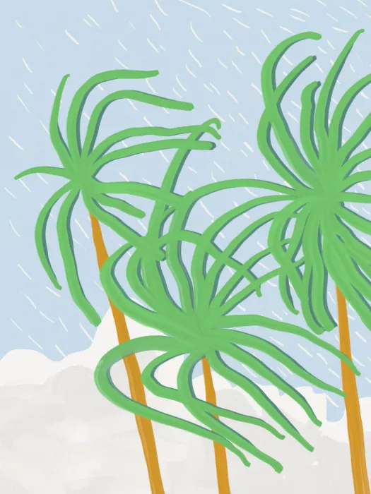 Dean, Little: Palmier de plage se balançant dans le vent