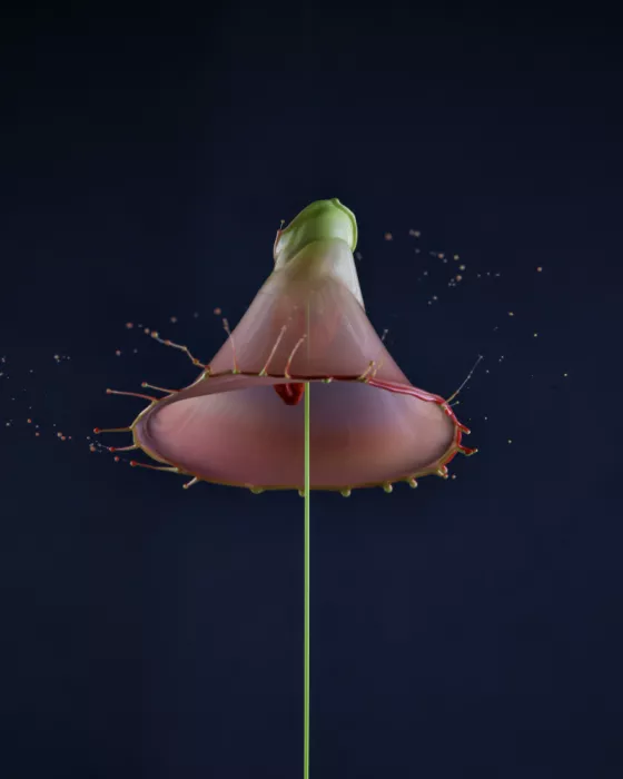 Qu, Anna: Wassertropfen (4)