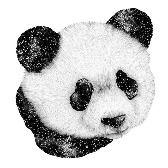 Mazur, EC: Cosmic Panda Square