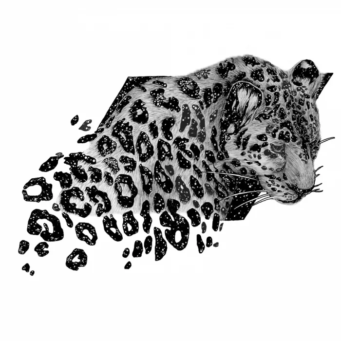 Mazur, EC: Cosmic Leopard Mural Copy