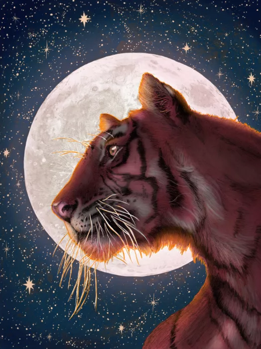 Mazur, EC: Moon and Tiger Colour Large