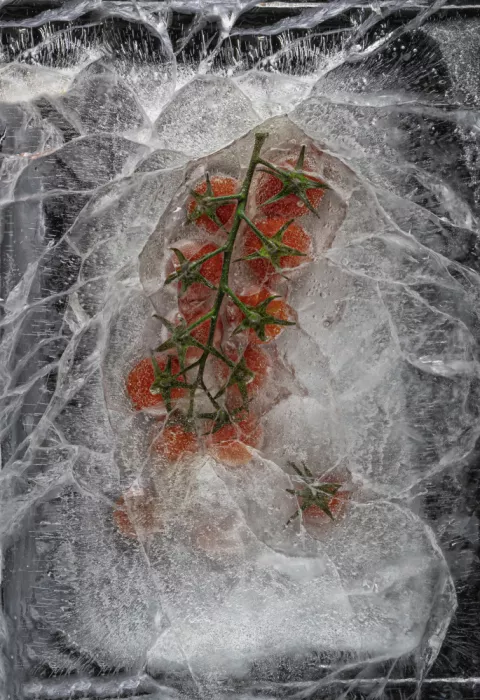 Losada, Secundino: Frozen cherry tomato