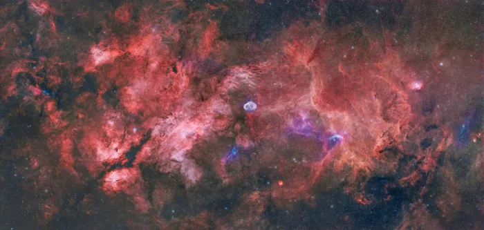 Rodríguez, María Rosa: Cygnus Constellation