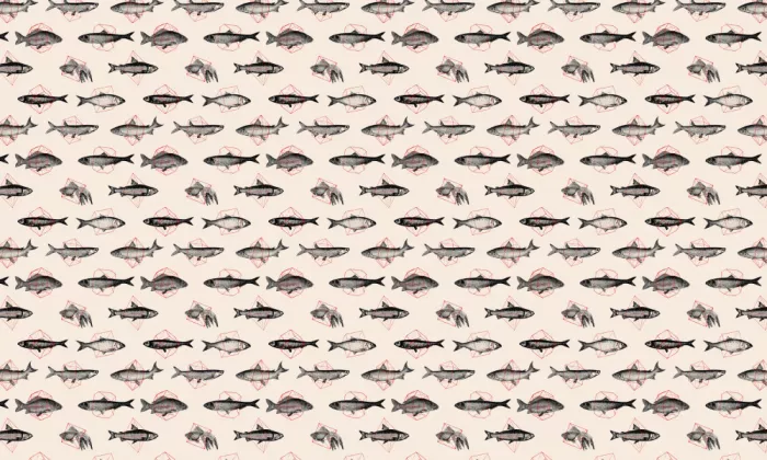Bodart, Florent: Fish In Geometrics Nº1