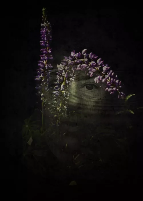 Depaola, Mia: Rejuvenate II
