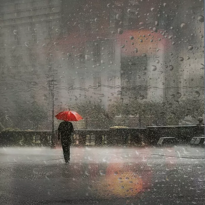 Sedevcic, Damijan: rainy day