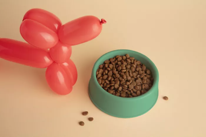 Ramiro, Julia: Luftballon-Hund mit Futternapf