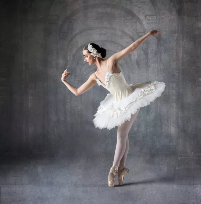 Derwood: White Swam and Arches