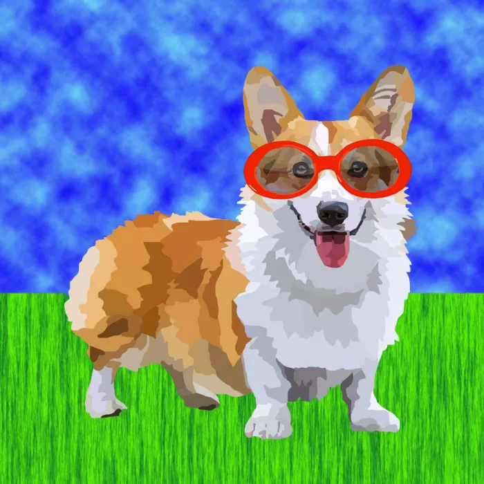 Rakos, Lynnda: Corgi v sluneční brýlích