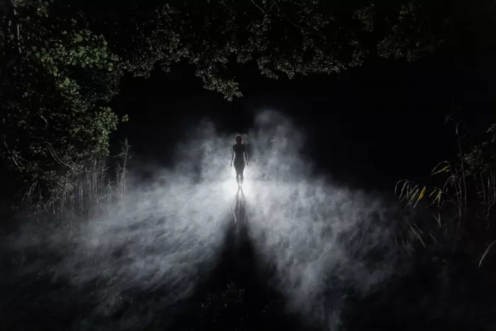Paradowski, Leszek: 