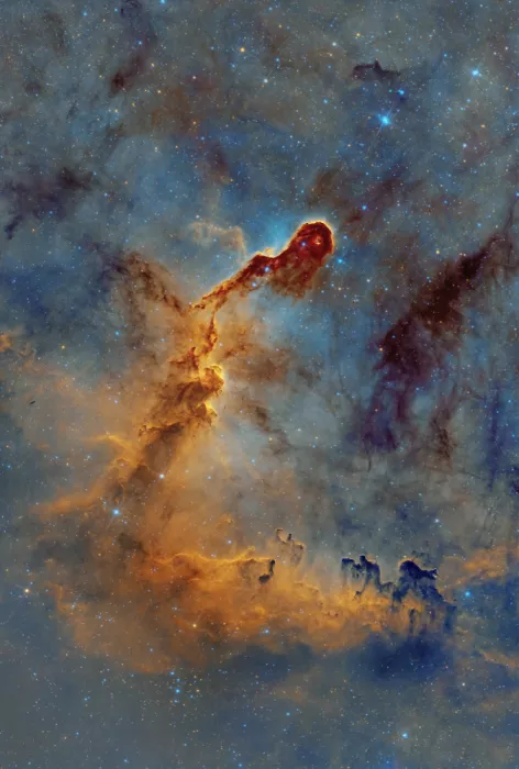 Rodríguez, María Rosa: IC 1396, the Elephant Trunk Nebula