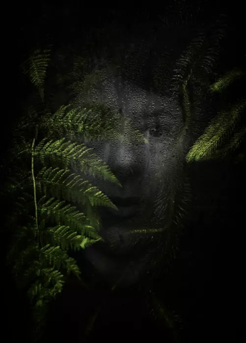 Depaola, Mia: Back to Nature II