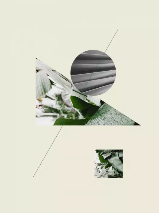 Kulkarni, Nilesh: Géométrie tropicale n° 2