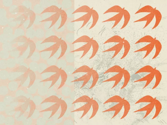 NKTN: Composition abstraite 1