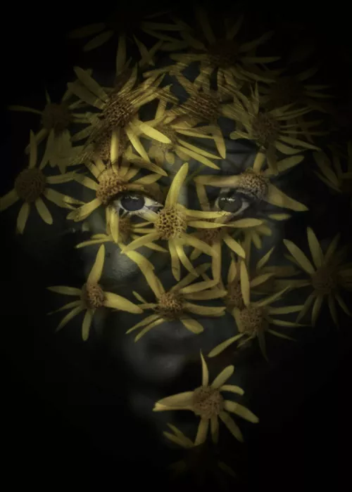 Depaola, Mia: Flowery III