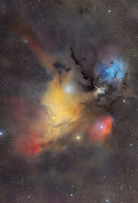 Rodríguez, María Rosa: Rho Ophiuchi Nebulae Complex