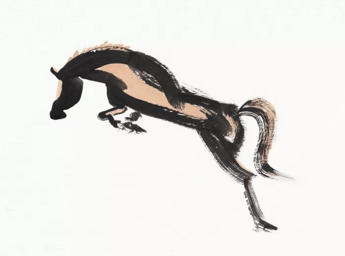 ch, Santhosh: Cheval 152