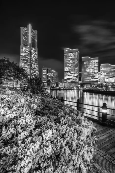 Viola, Melanie: Pintoresco skyline de Yokohama de noche - monocromático