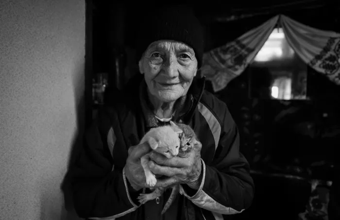 Roibu, Grigore: Gatti giovani / Persone anziane