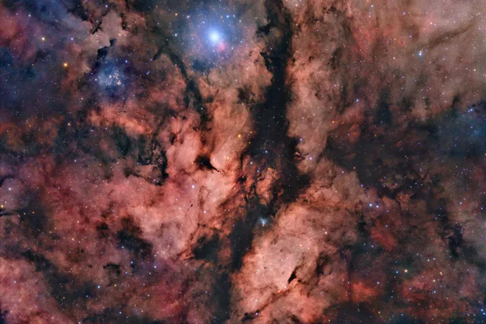 D., Maria Jose: Nebulosa Gamma Cygni