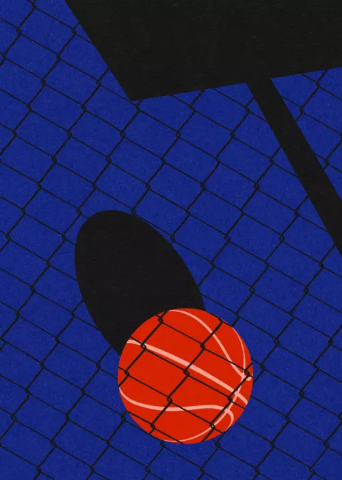 Feist, Rosi: Basketbalové hřiště na zahradě