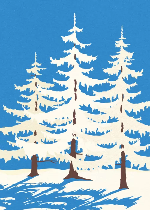 Feist, Rosi: Harz Winterbäume