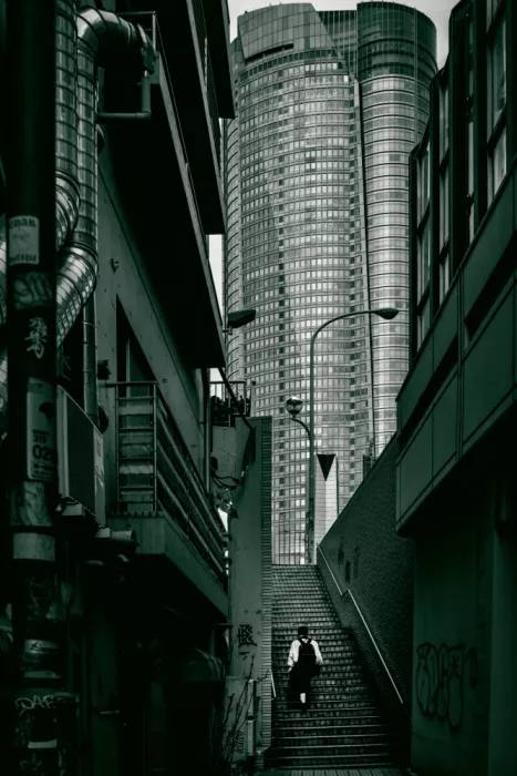 HONJO, YASUTOSHI: 33 Steps