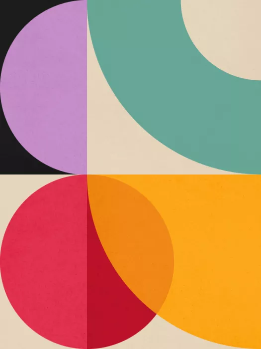 Costa, Vitor: Circles in harmony 6