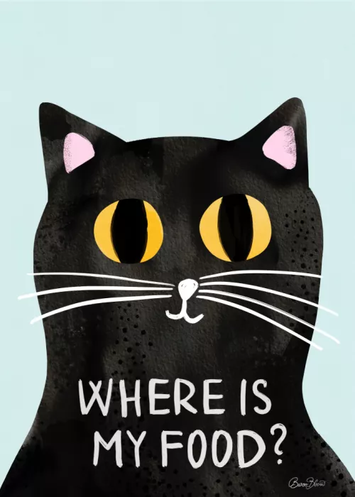 Bloom, Baroo: Hungry Cat - Where is my food