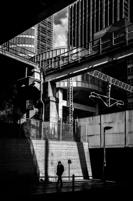 Fujii, Yuzo: Akihabara