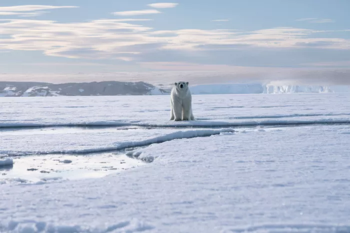 Nagpal, Manish: Guardián del glaciar